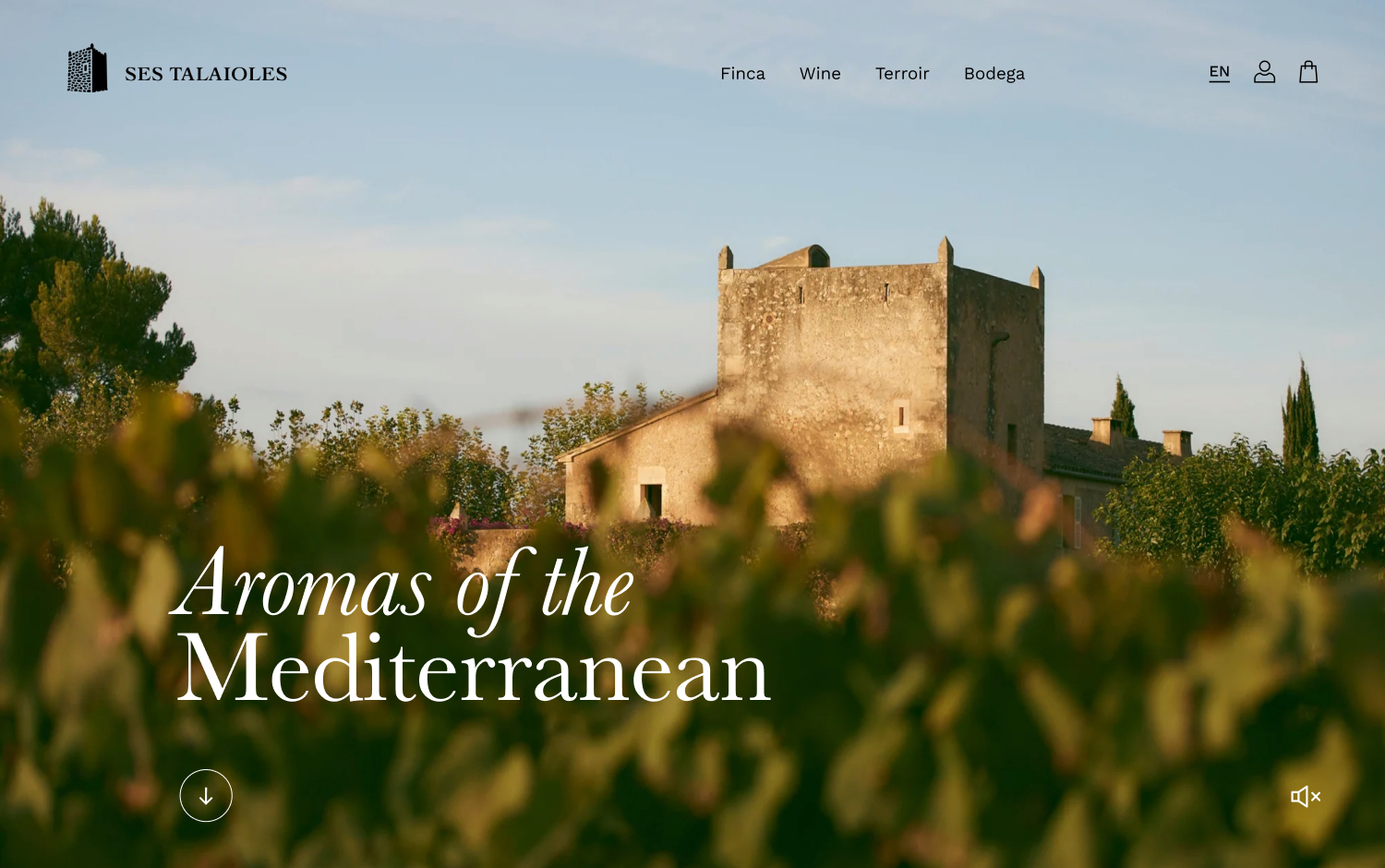 Finca Ses Talaioles – Winery cover image