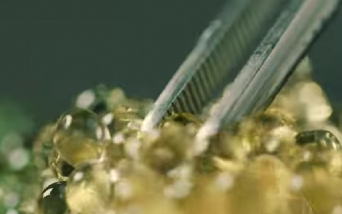 Stunning Dessert Animation cover image