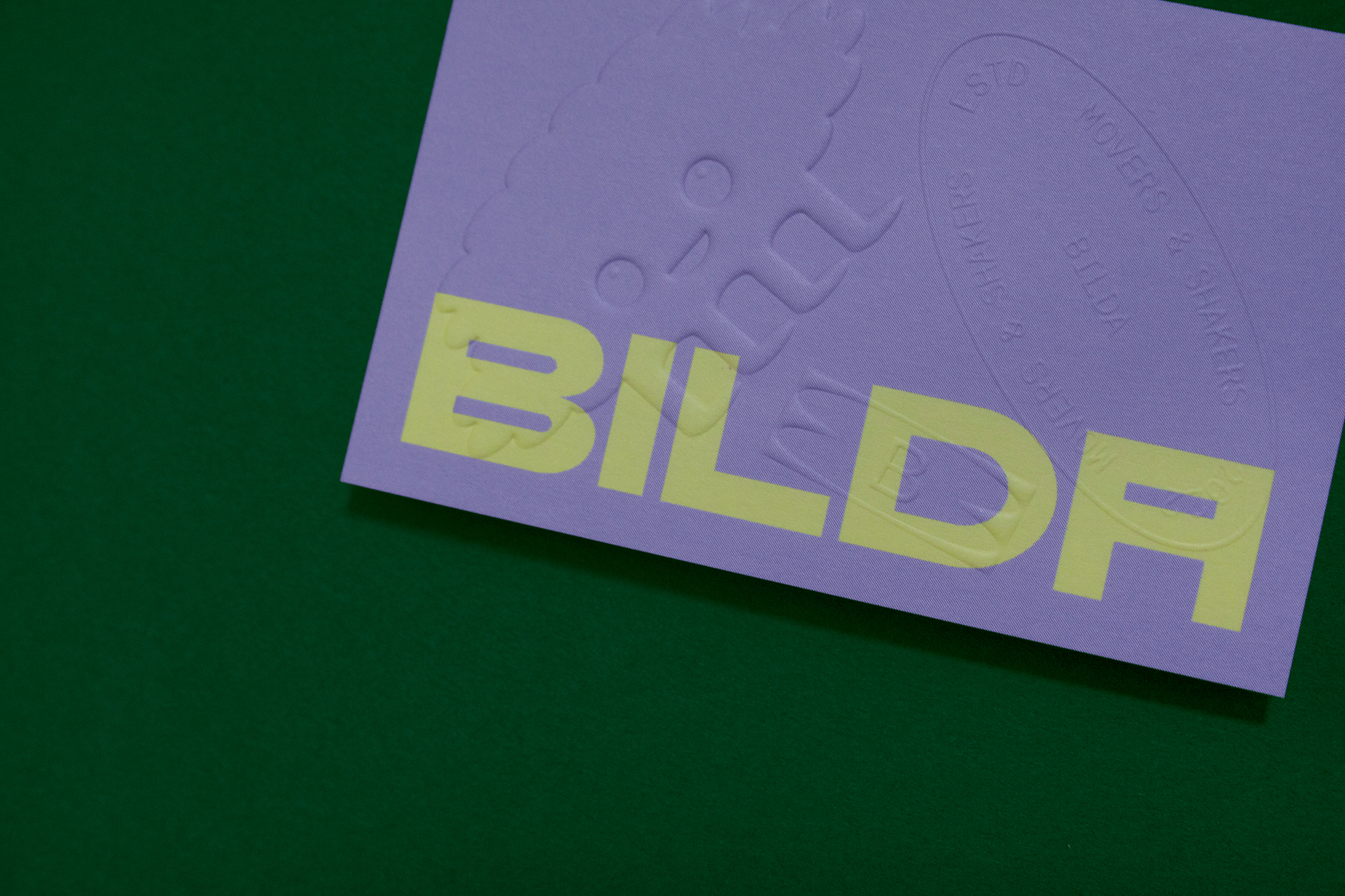 BILDA cover image