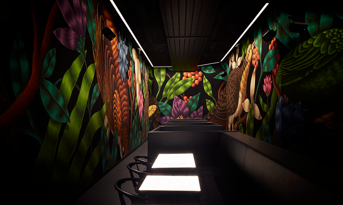 The Birdyard Murals cover image