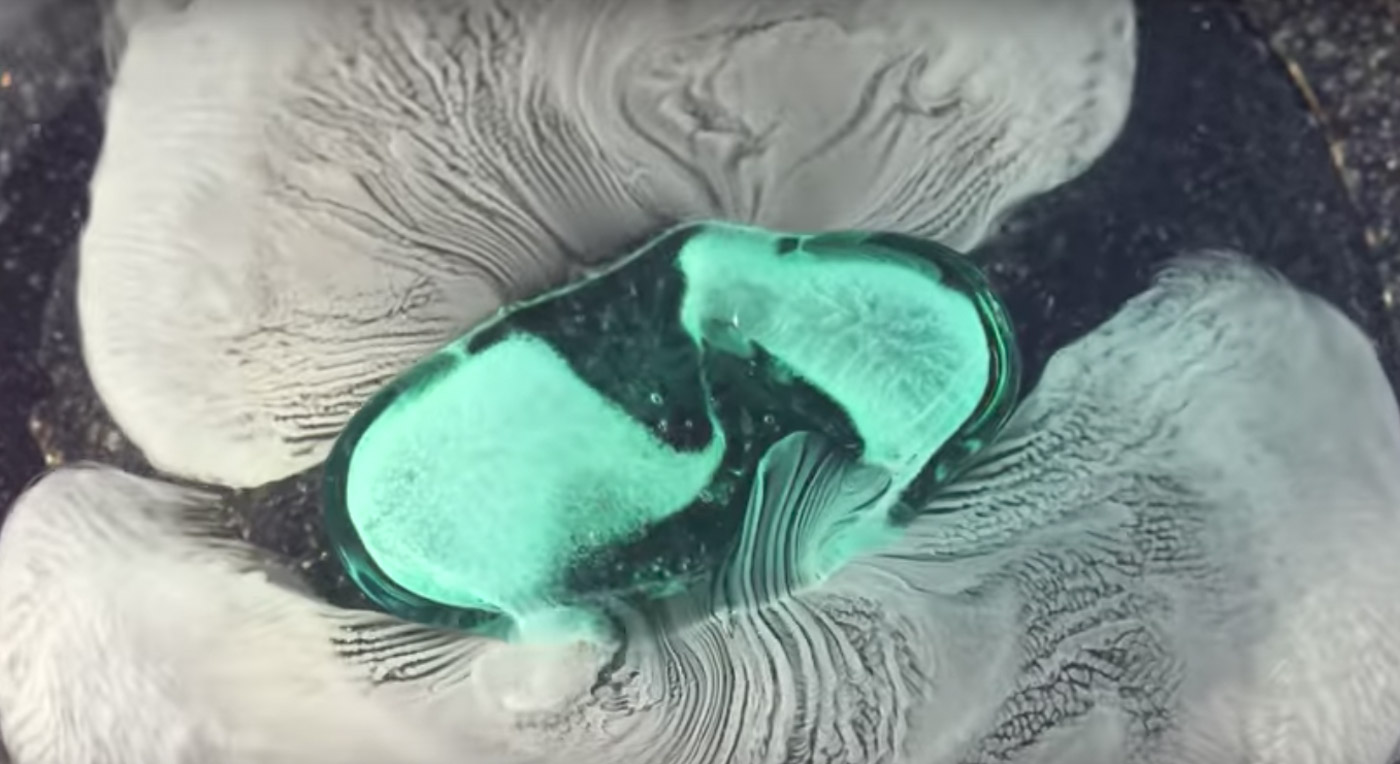 Pills Dissolve In Macro cover image