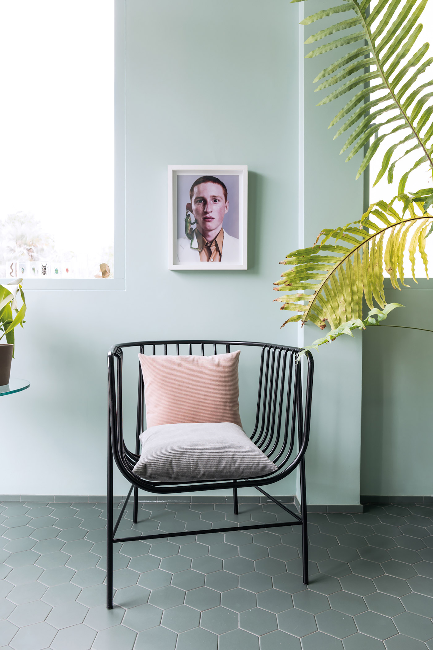 Schönbuch Design Furniture cover image
