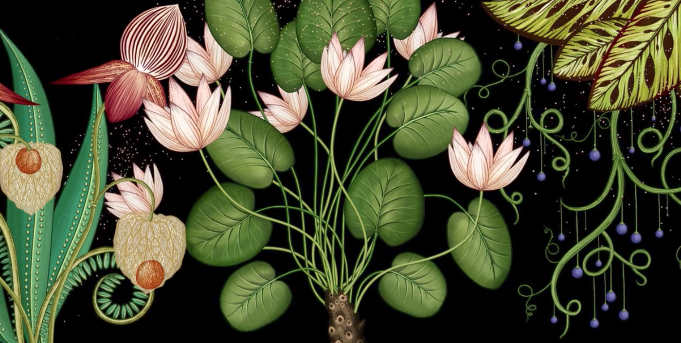 Stunning Botanical Projection cover image