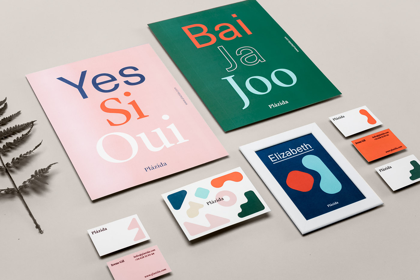Plazida Branding cover image