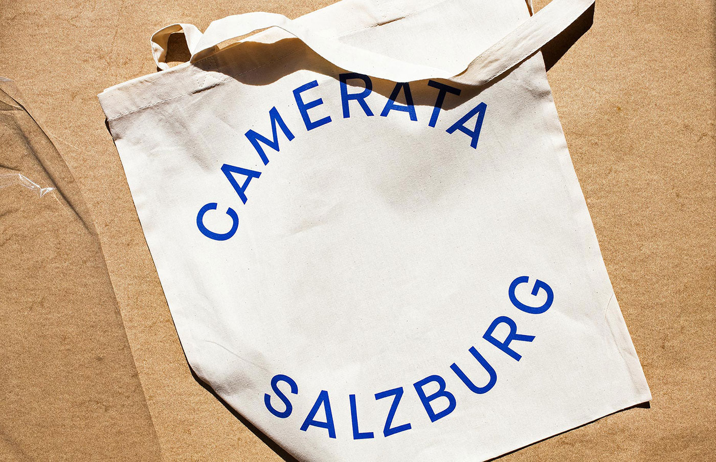 Camerata Salzberg Identity cover image