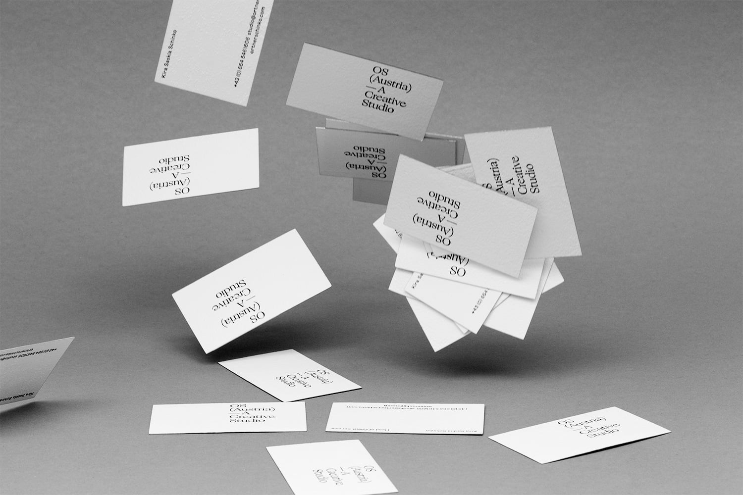 OrtnerSchinko Studio Branding cover image