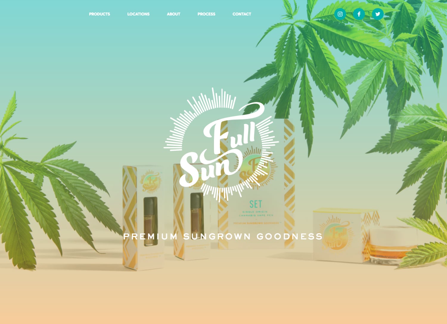 Full Sun cover image