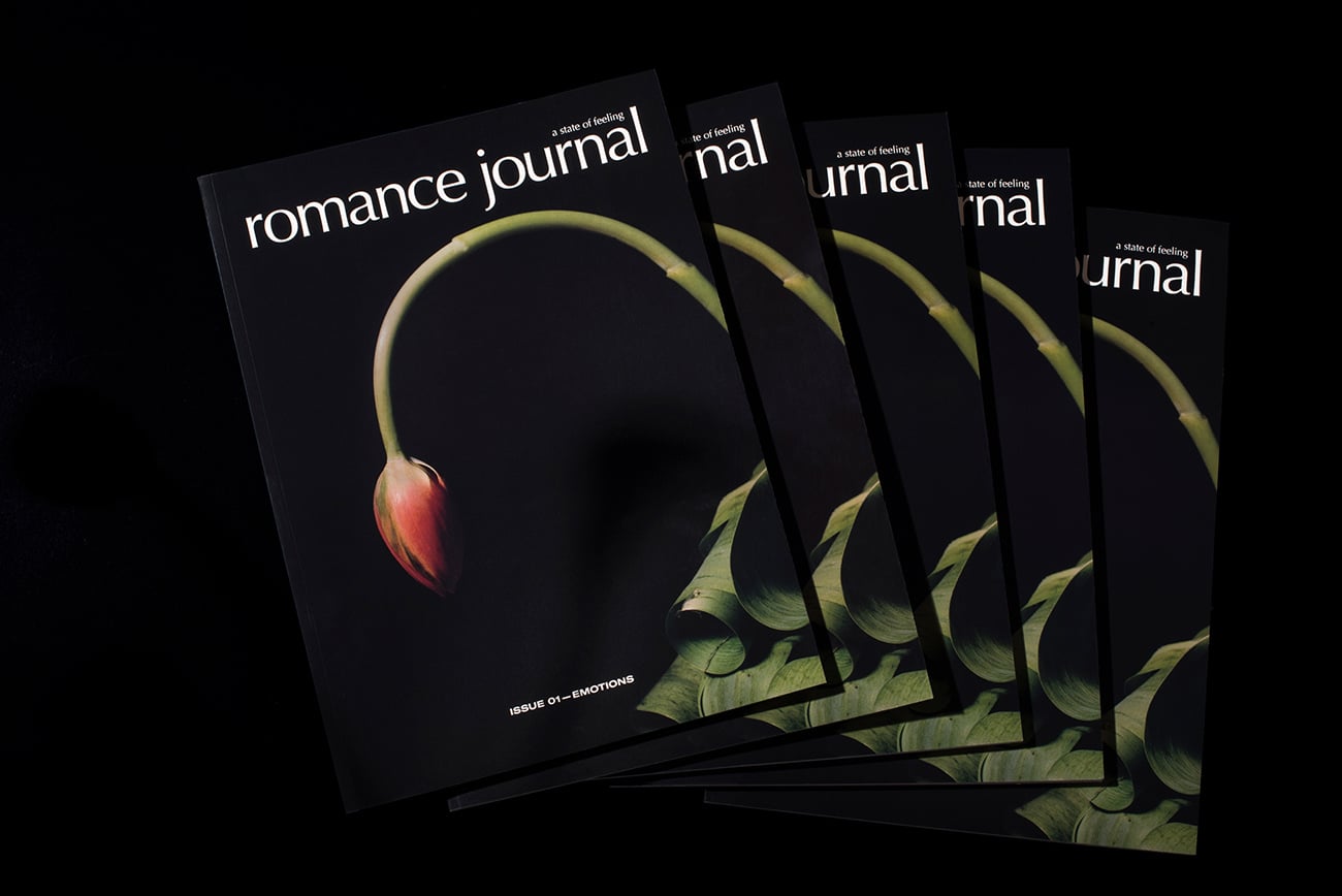 Romance Journal cover image