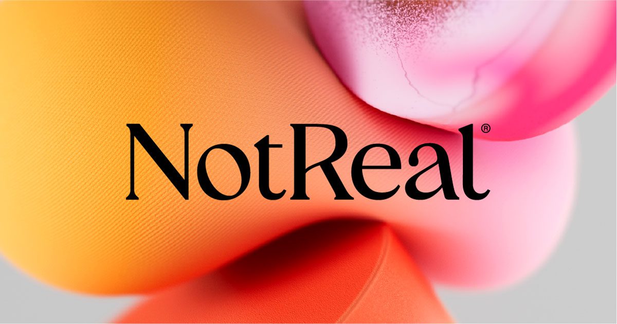 Not Real Interview cover image