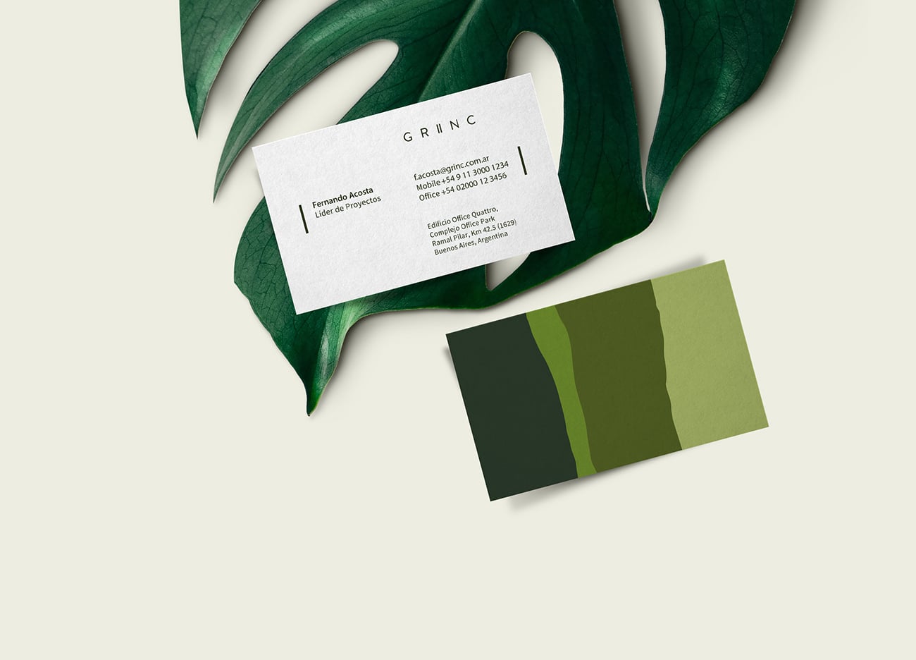 Grinc Branding & co. cover image