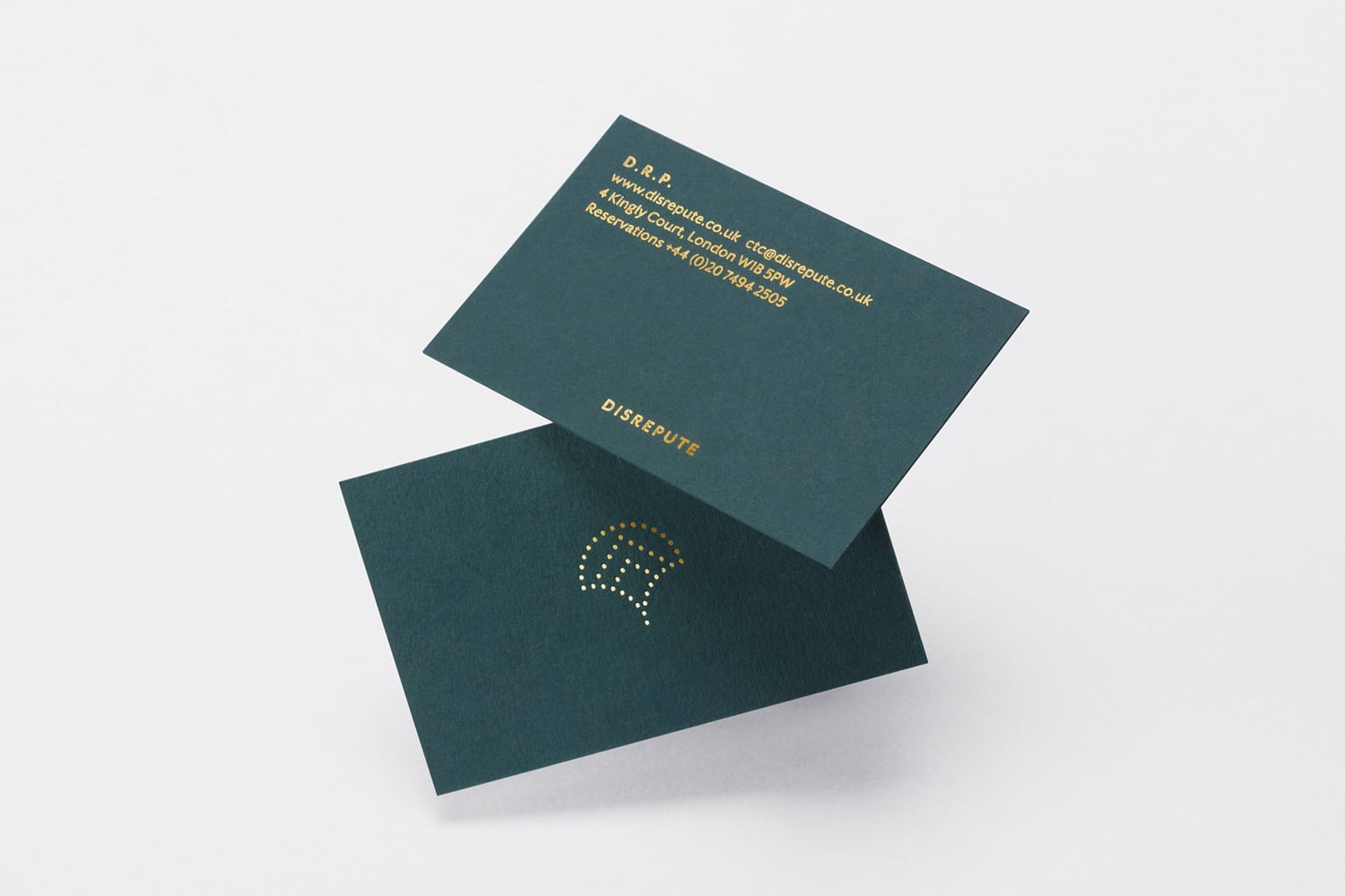 Disrepute Branding cover image