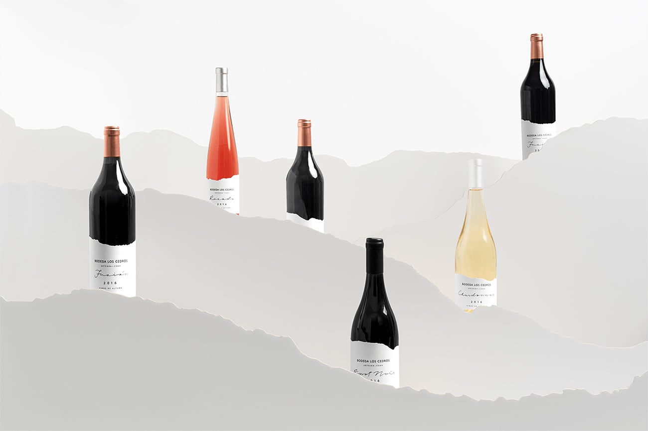 Bodega Los Cedros Packaging cover image