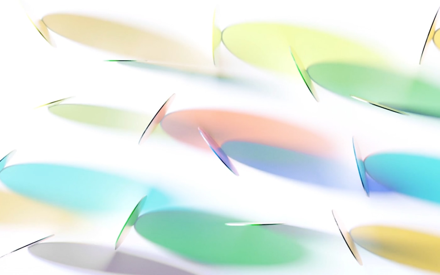 Life Cycle cover image