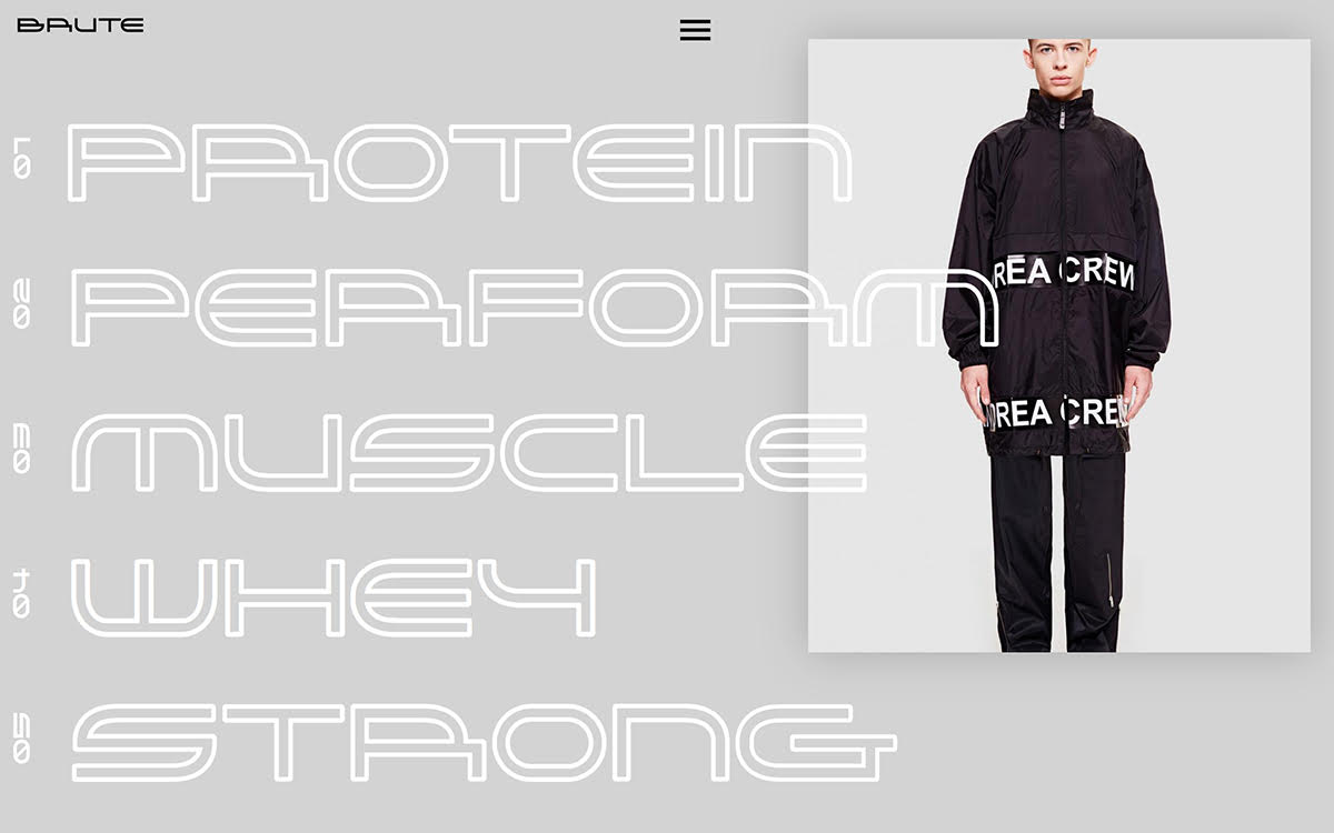 Brute.Adult cover image