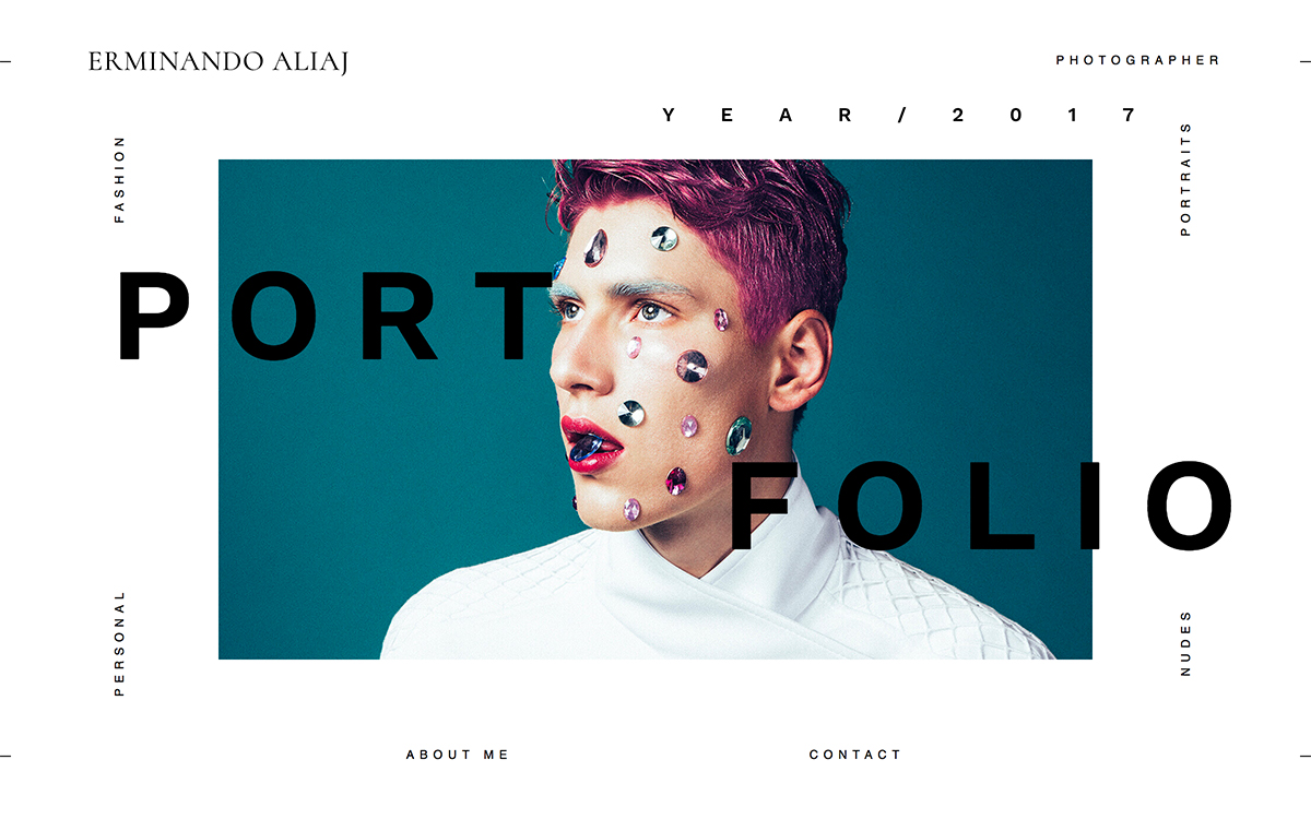 Erminando Aliaj cover image