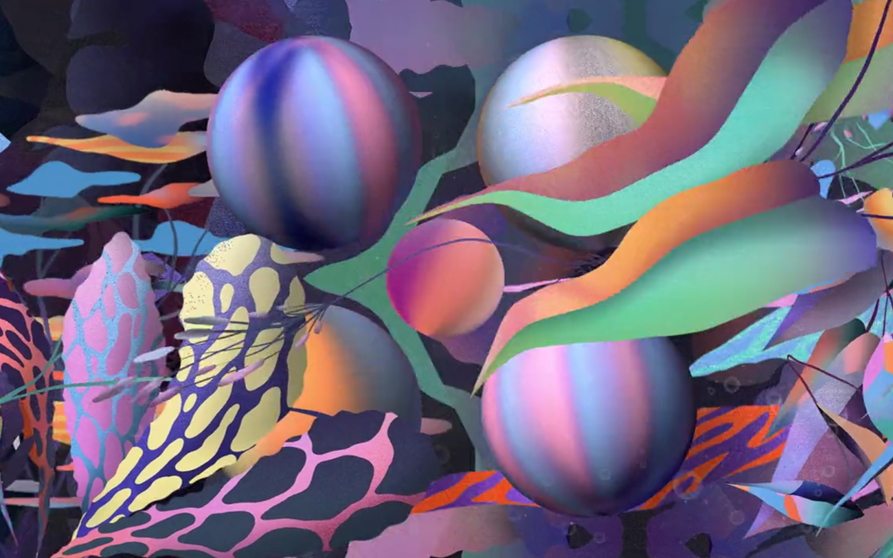 Down the rabbit hole cover image