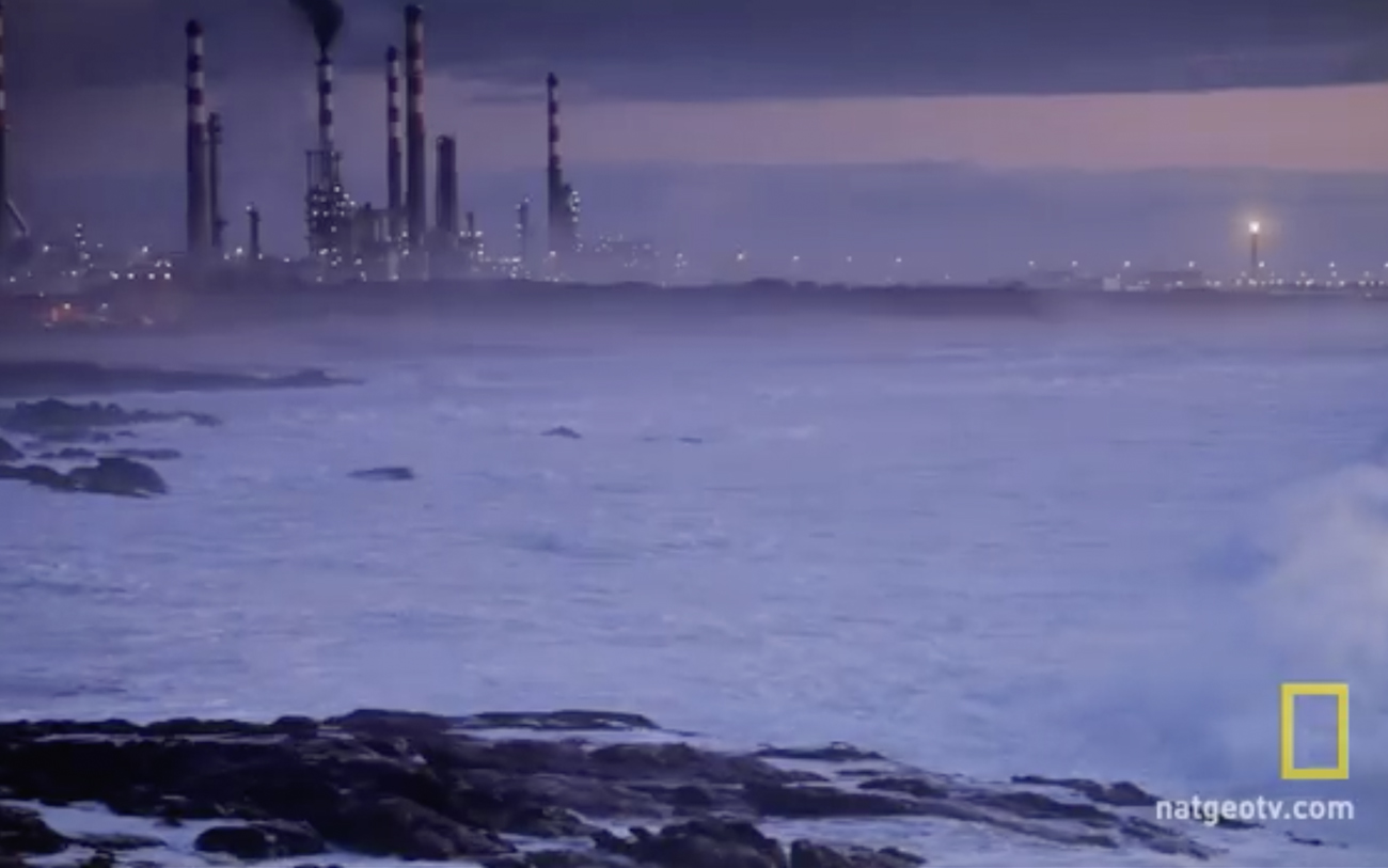 Before the flood cover image