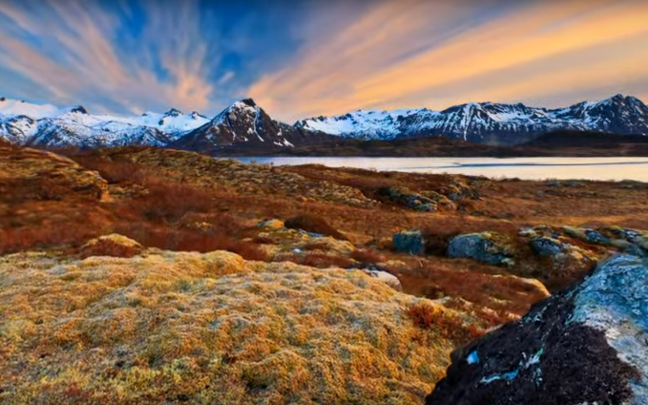 The Arctic Light cover image