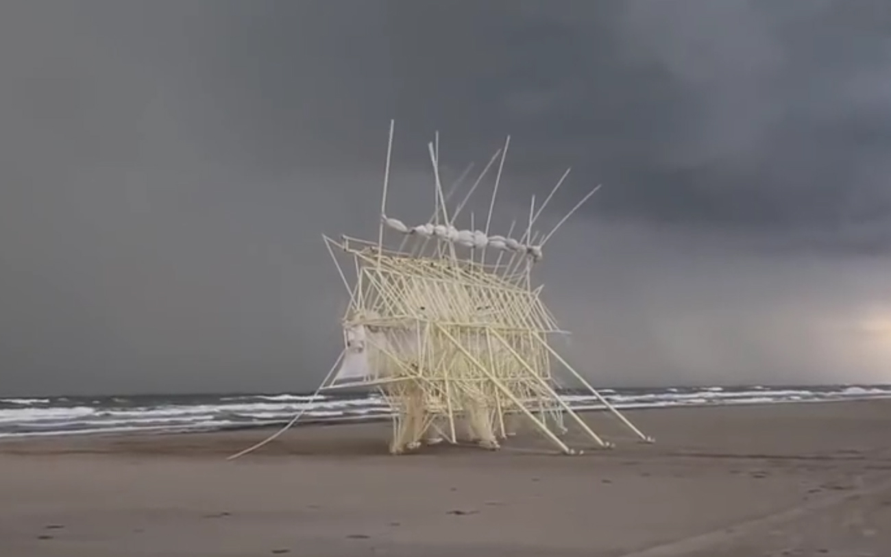 Living Kinetic Sculptures cover image