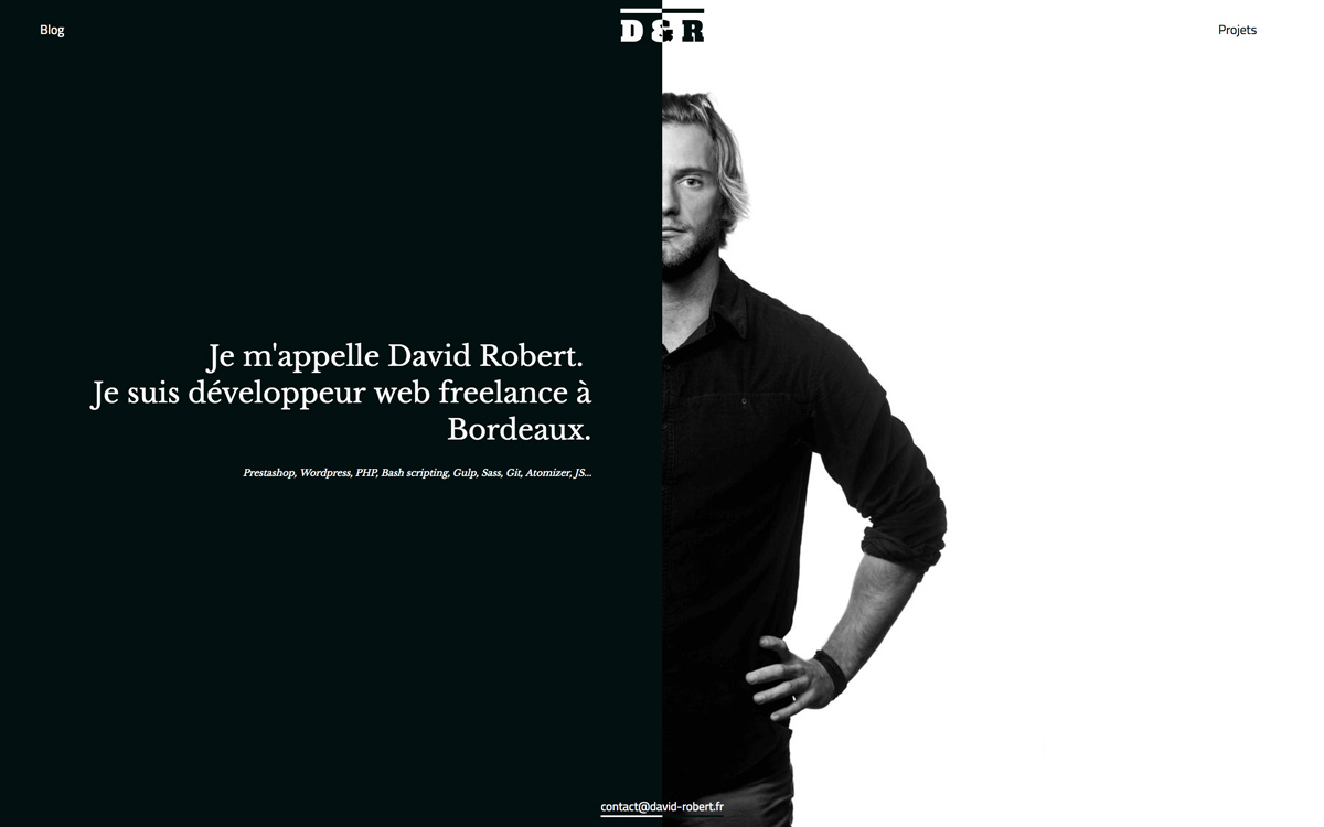 David Robert cover image