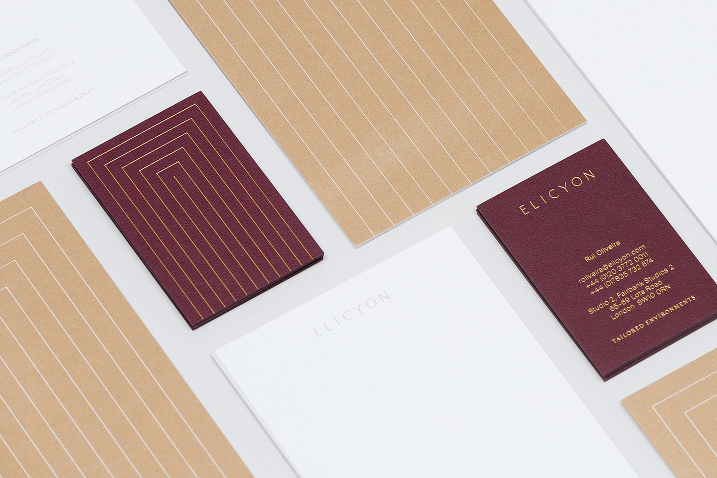 Elicyon corporate identity cover image