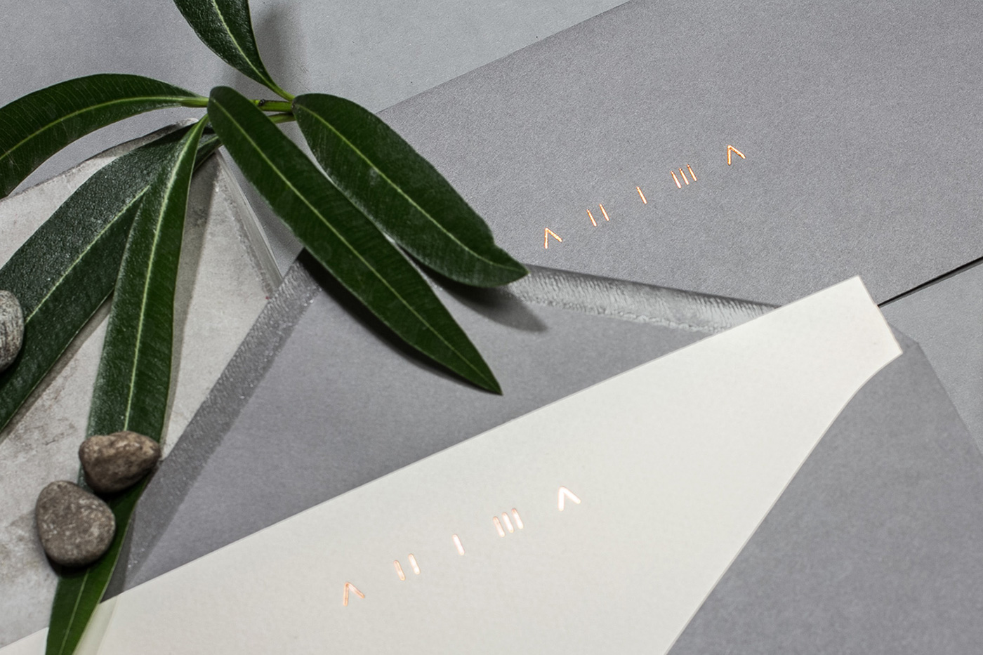Anima Restaurant branding cover image