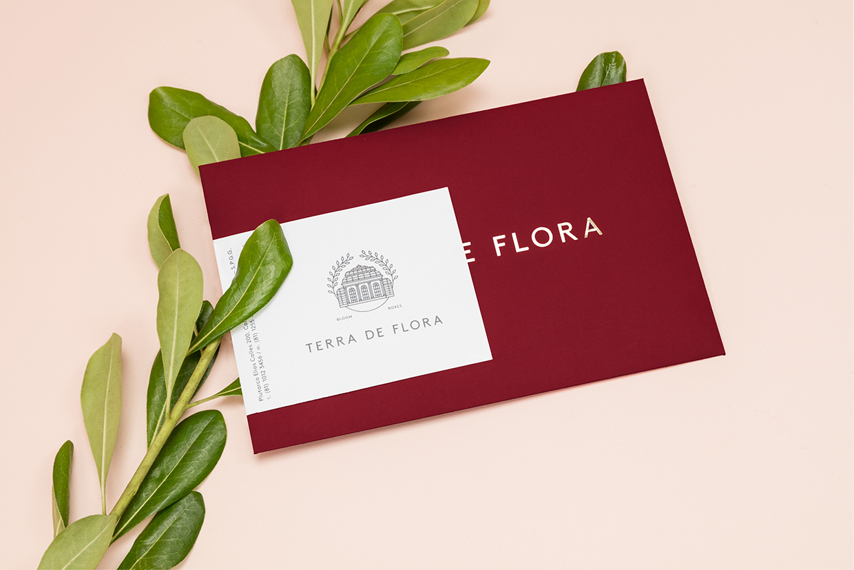 Terra de Flora cover image