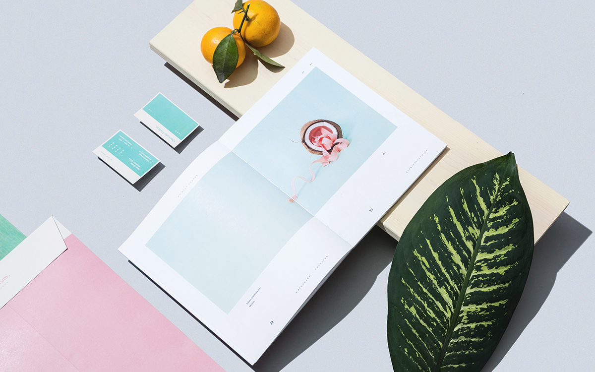 Querido Tulum cover image