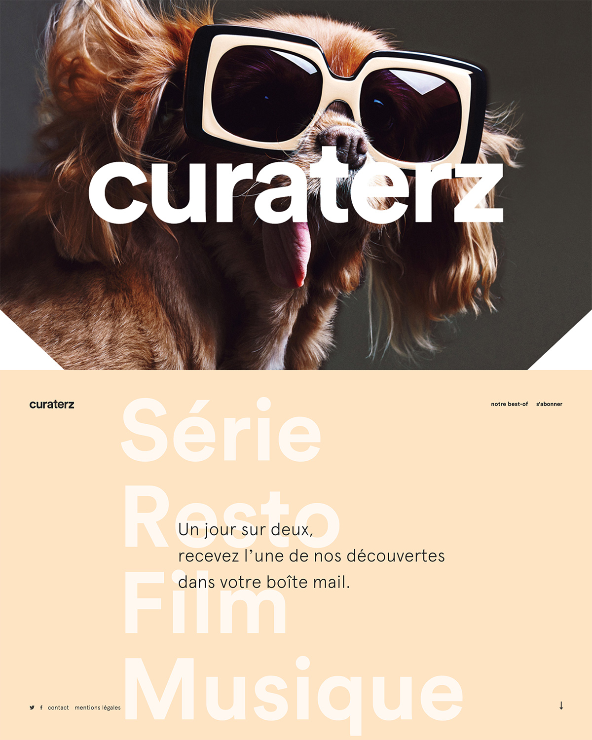Curaterz cover image