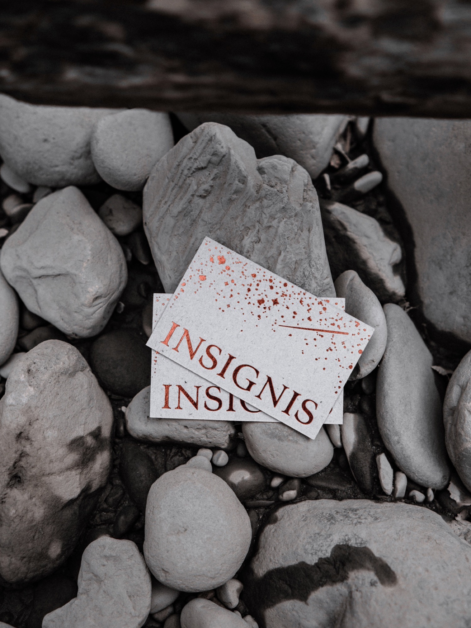 Insignis cover image