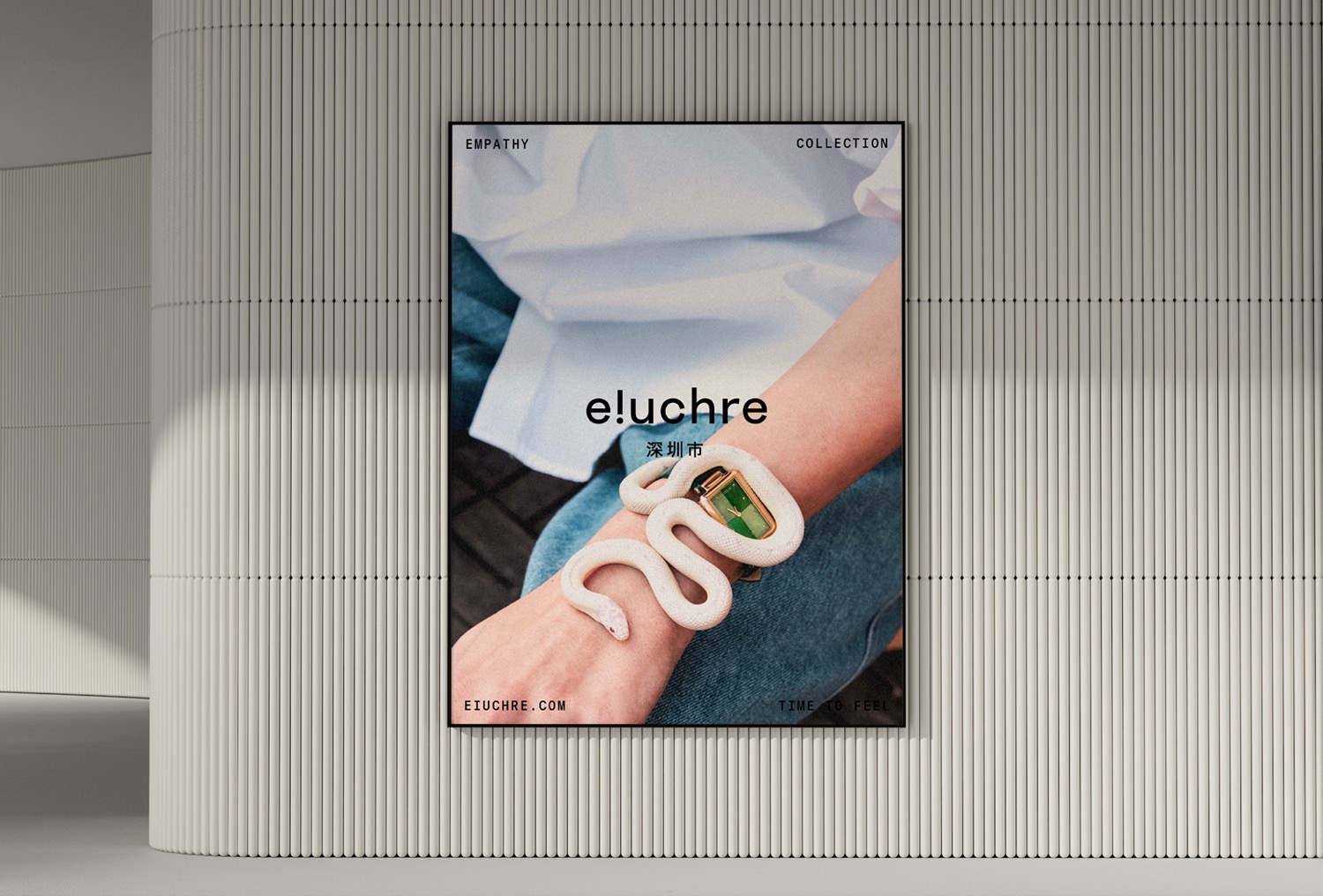 Eiuchre cover image