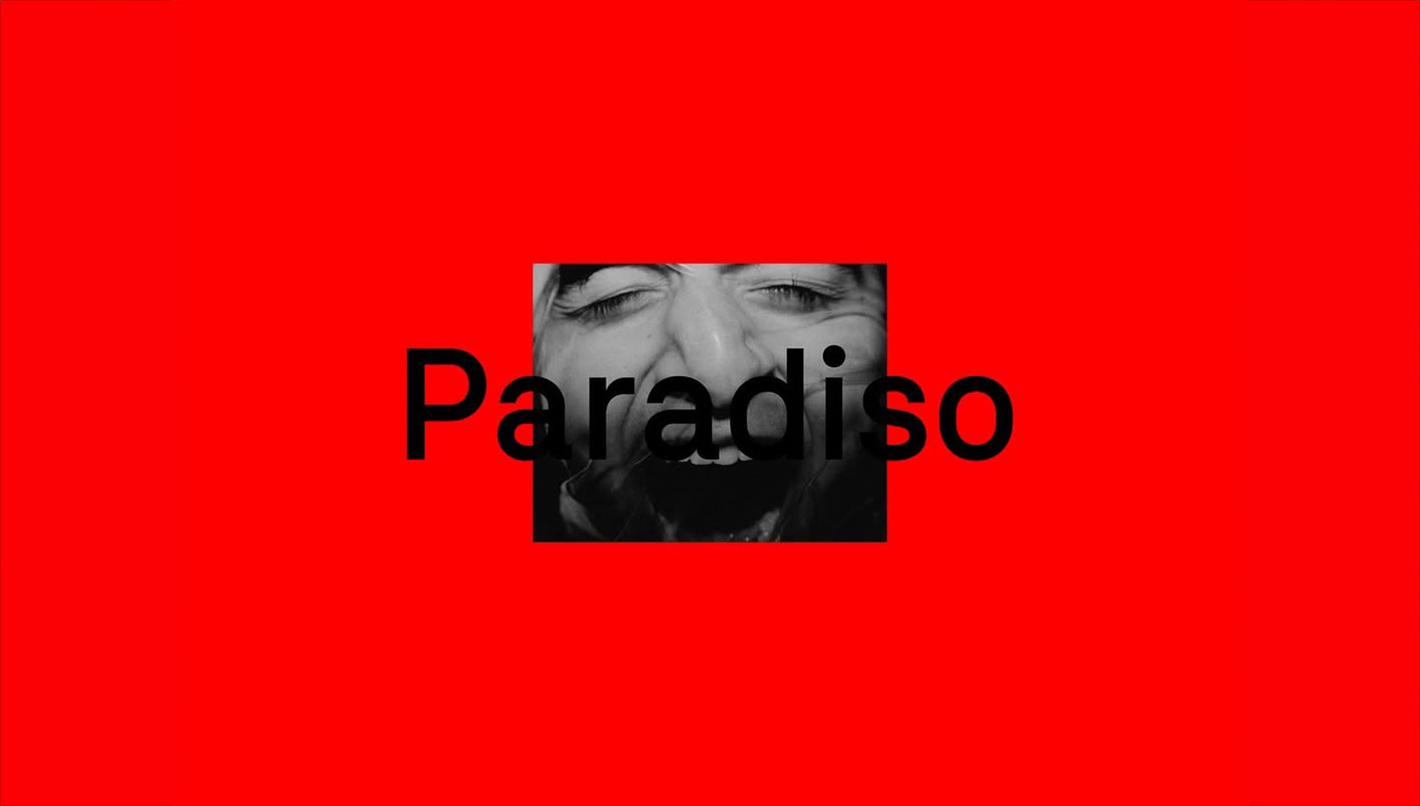 The Paradiso Schedule cover image