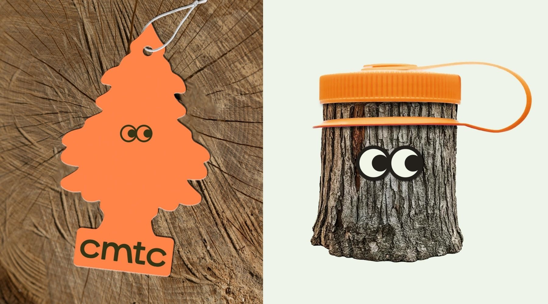 Colorado Mass Timber Coalition cover image