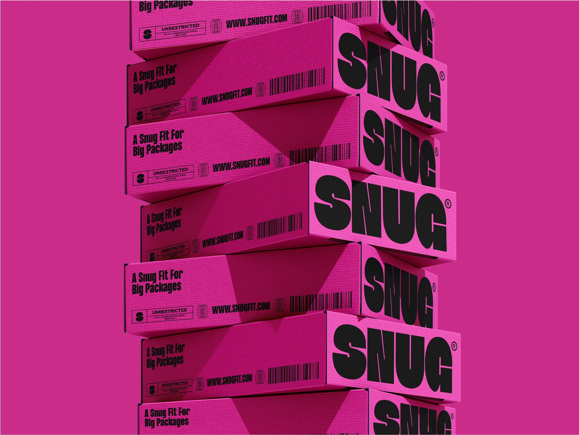 SNUG cover image