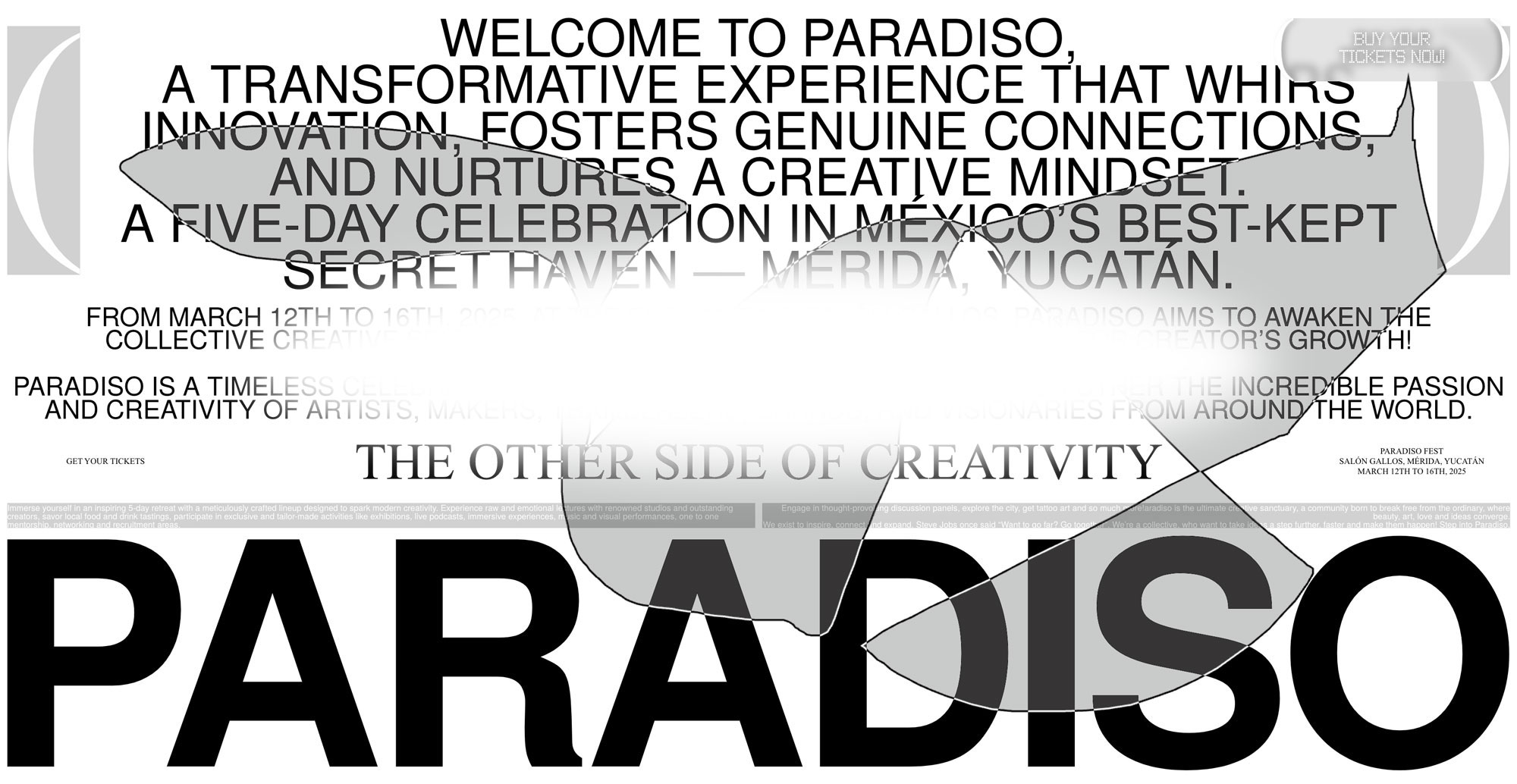 Paradiso Fest Line-up cover image