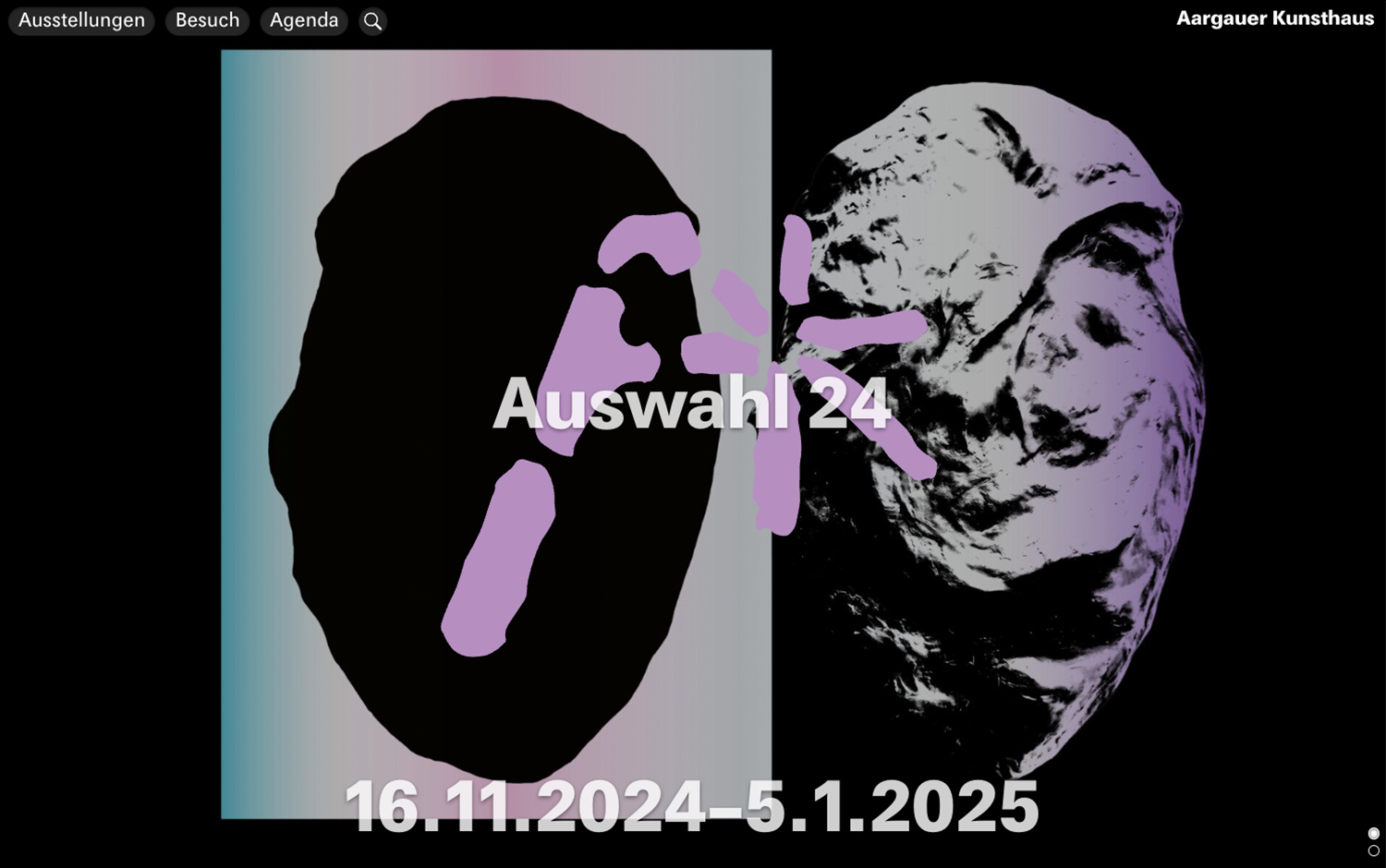 Aargauer Kunsthaus cover image