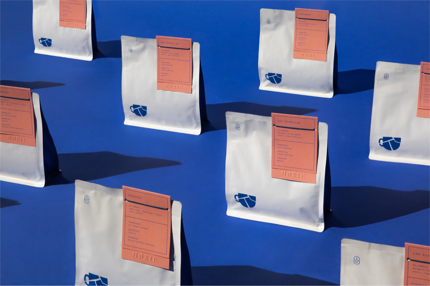 Moxie Coffee Co. cover image