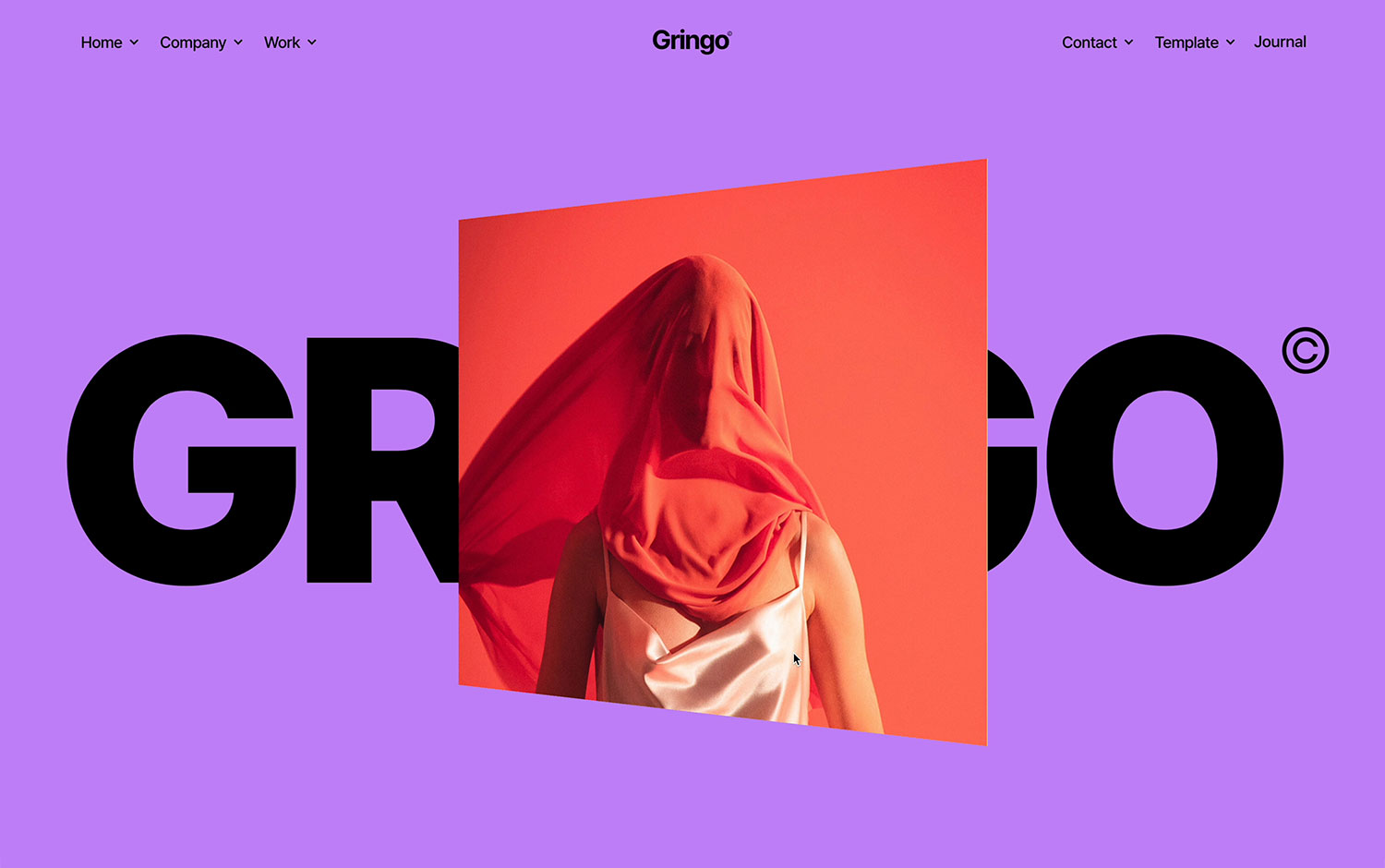Gringo Webflow Template cover image