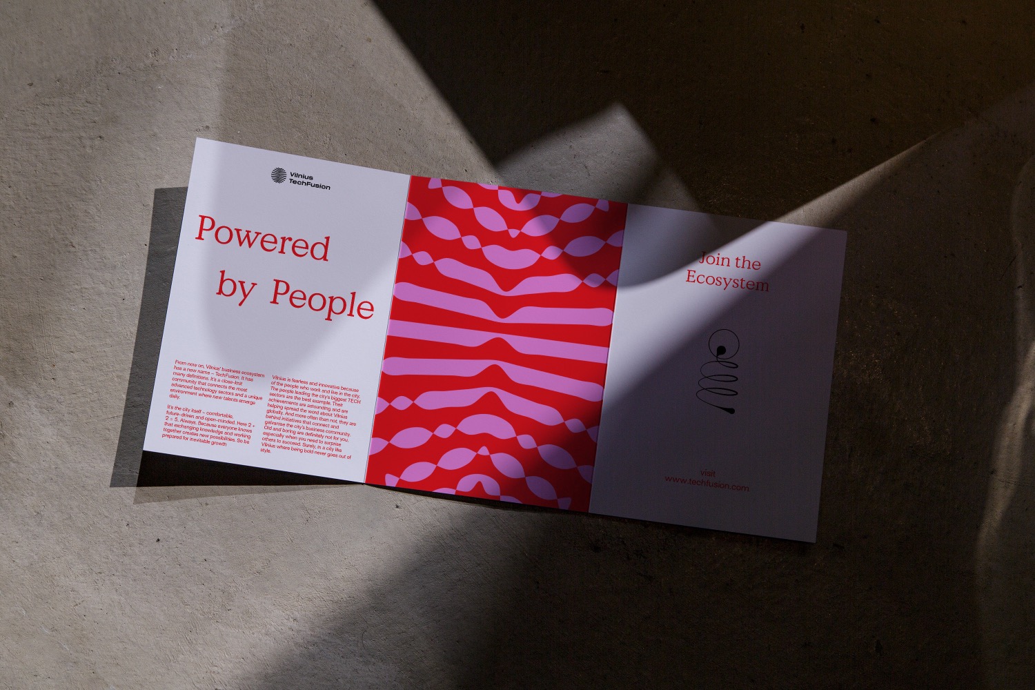 Vilnius Techfusion Visual Identity cover image
