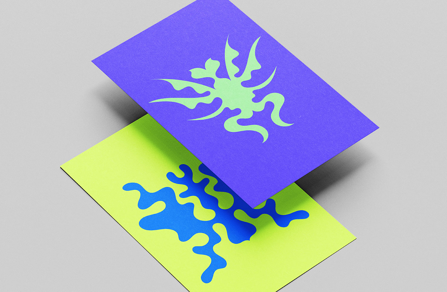 Anifolius cover image