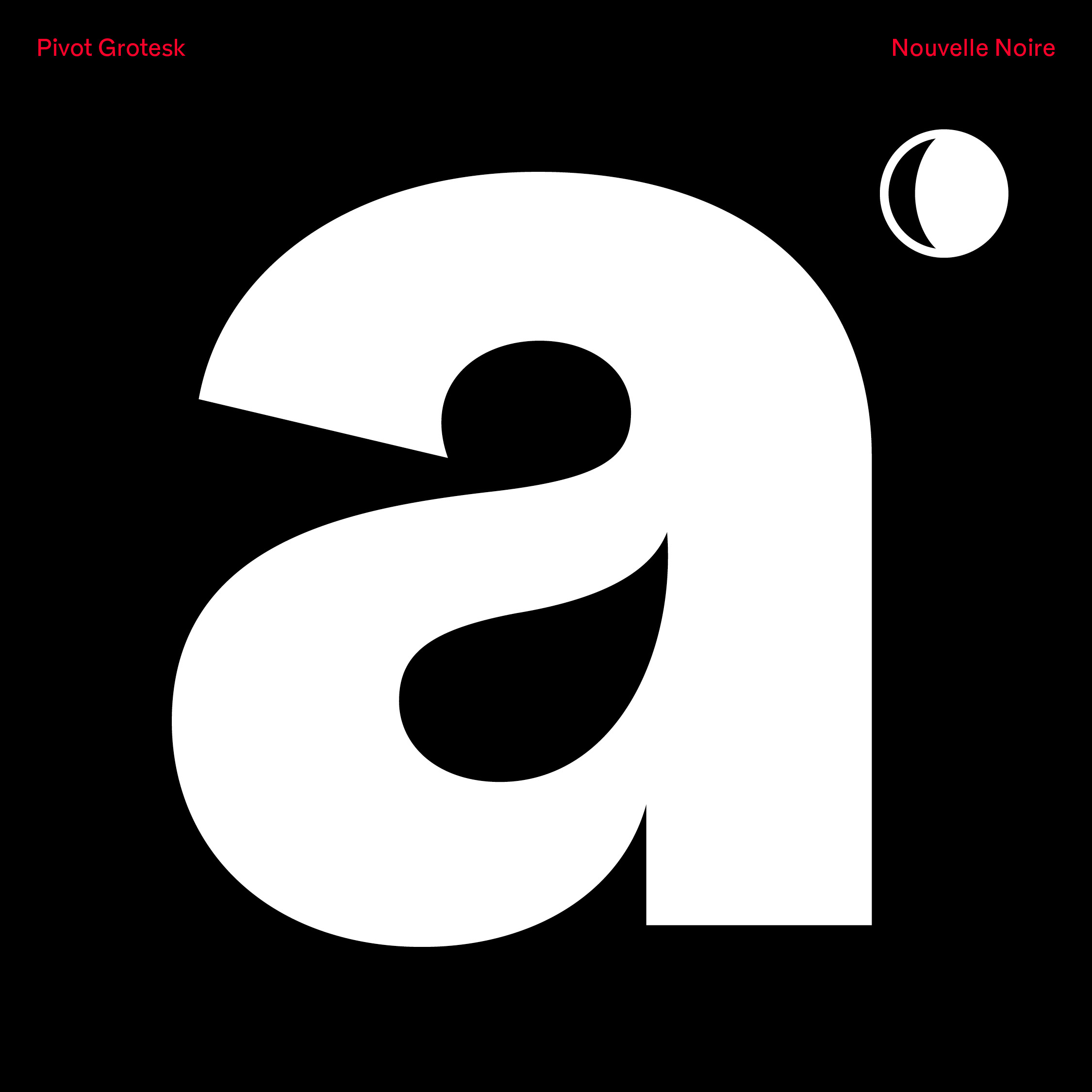 NN Pivot Grotesk cover image