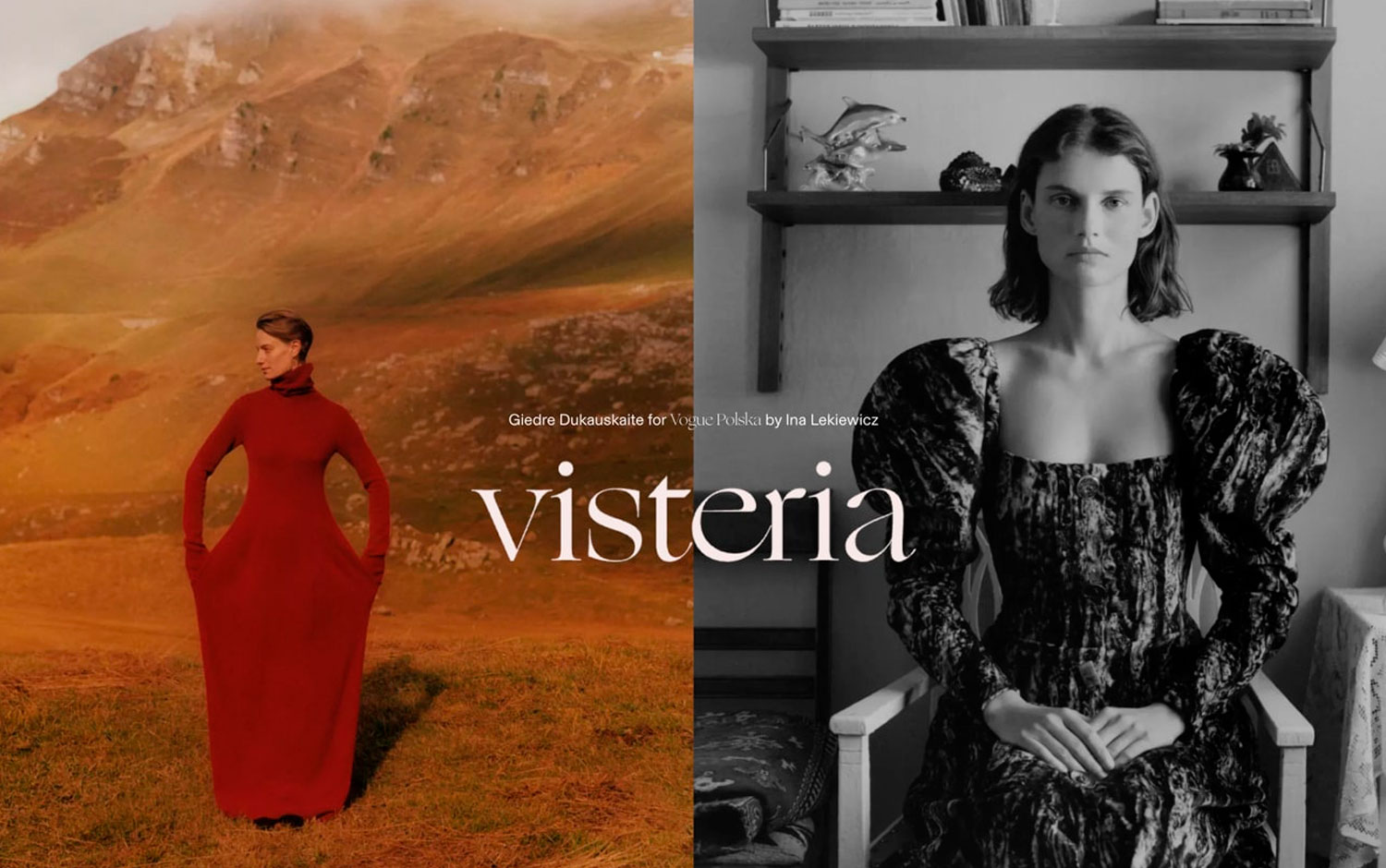 Visteria cover image