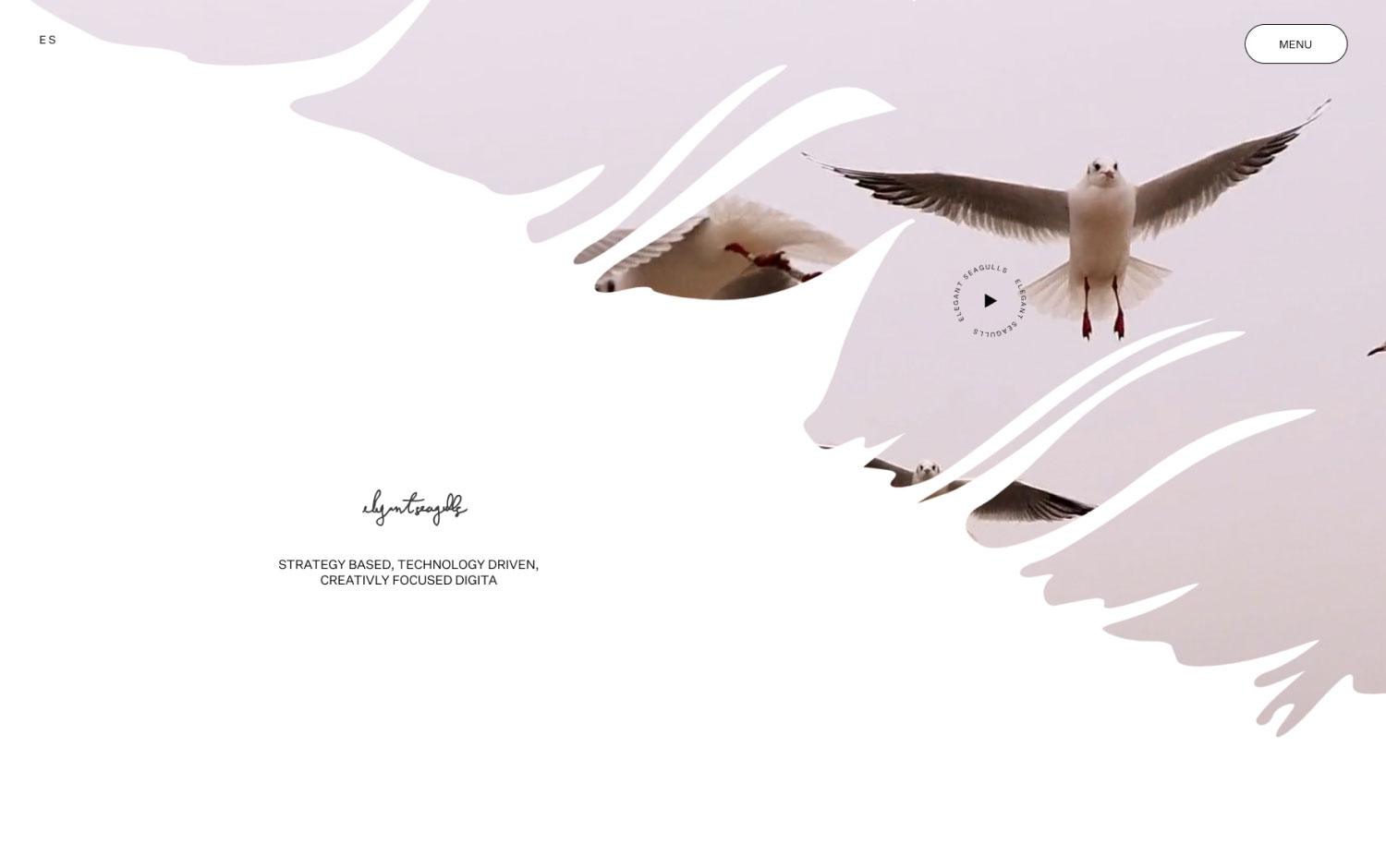 Elegant Seagulls cover image