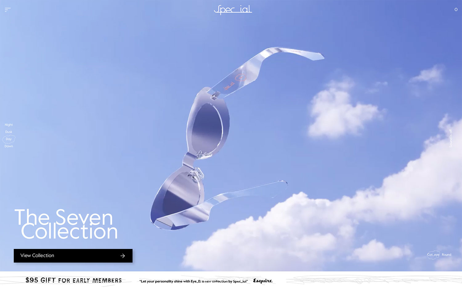 Special Eyewear cover image