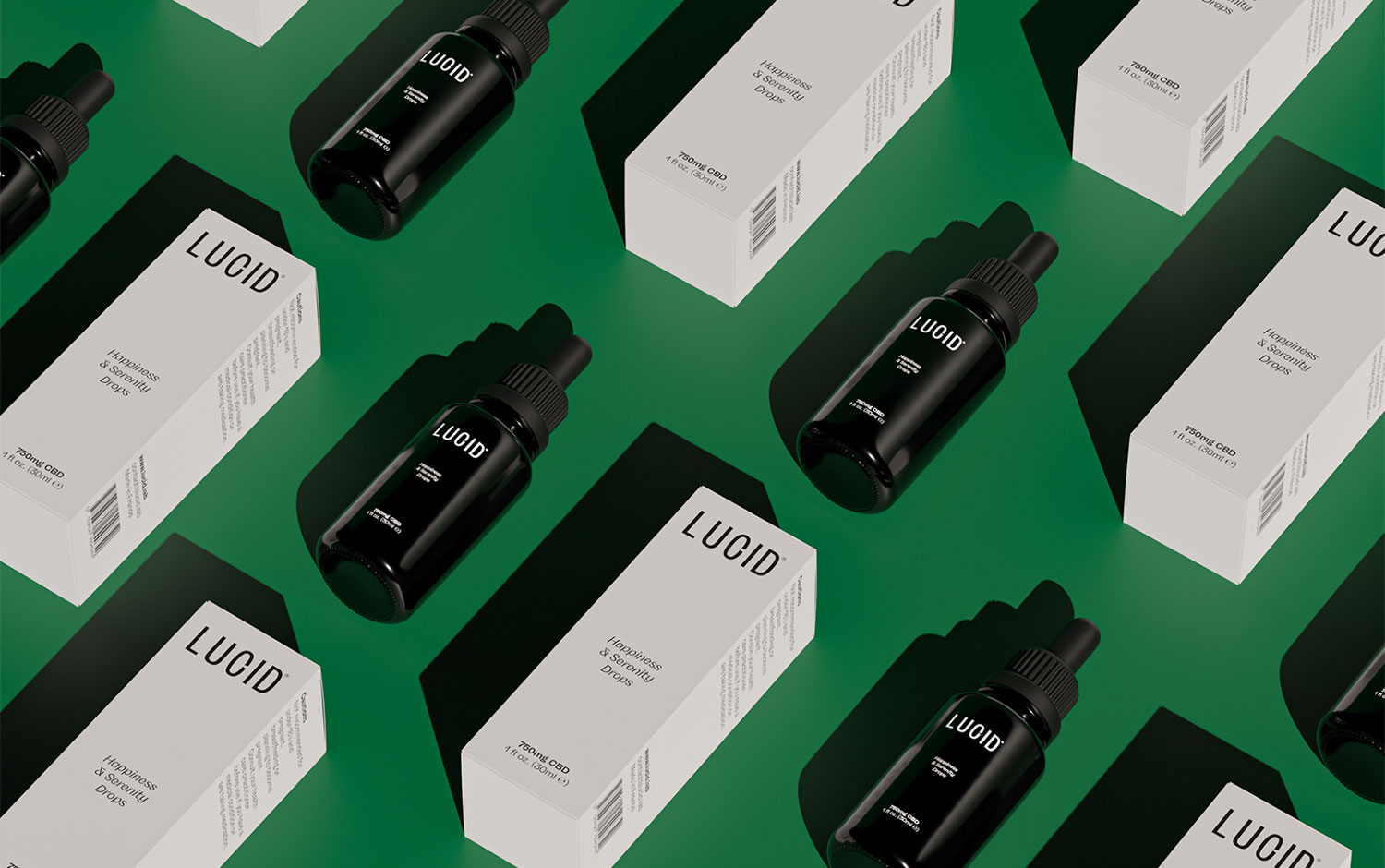 Lucid Packaging cover image