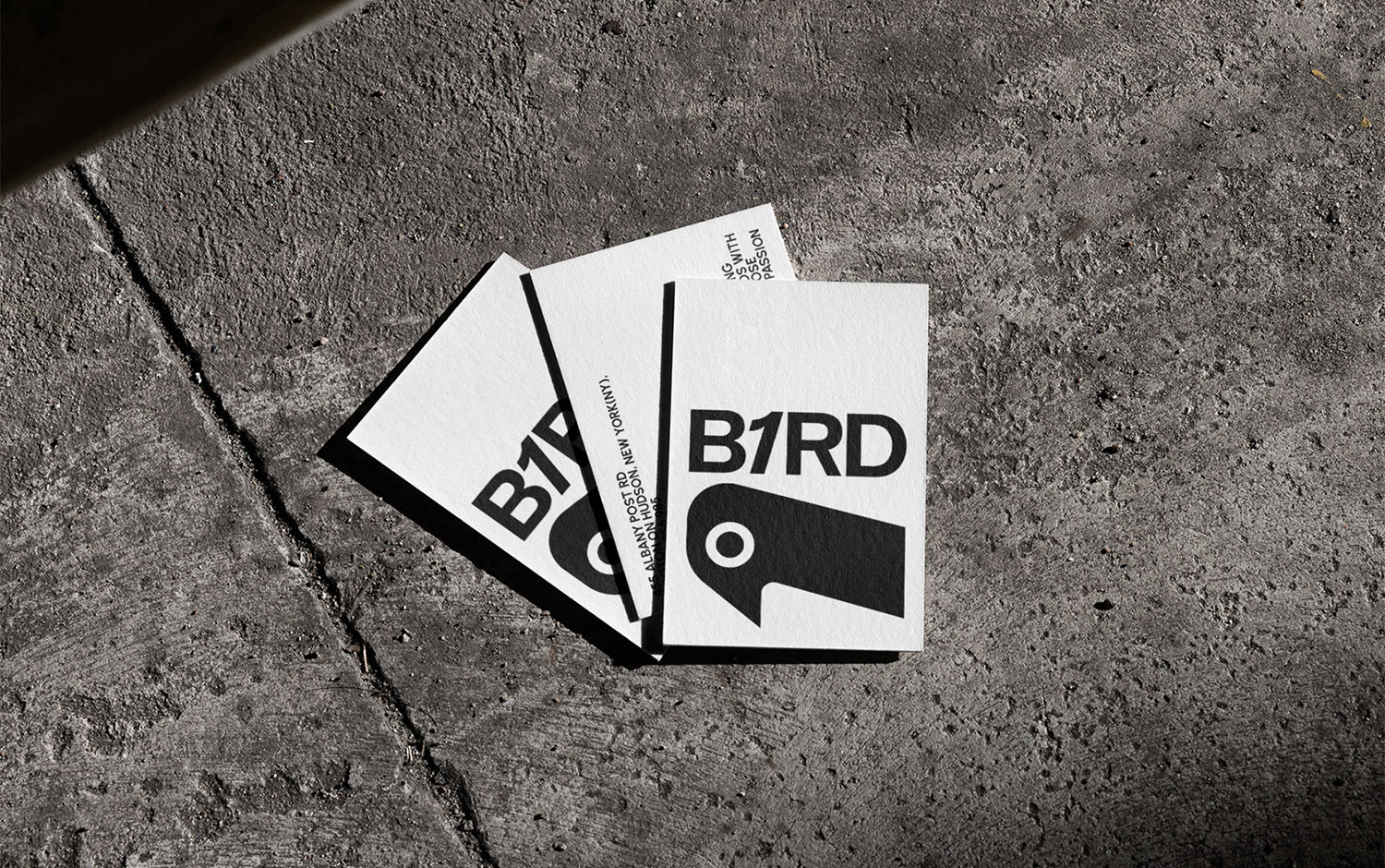 B1IRD Branding cover image