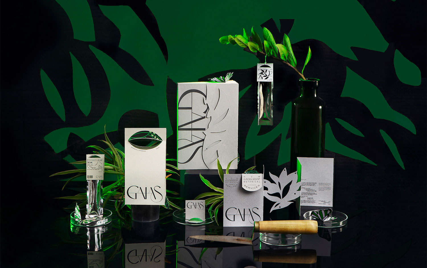 Gaias Branding cover image