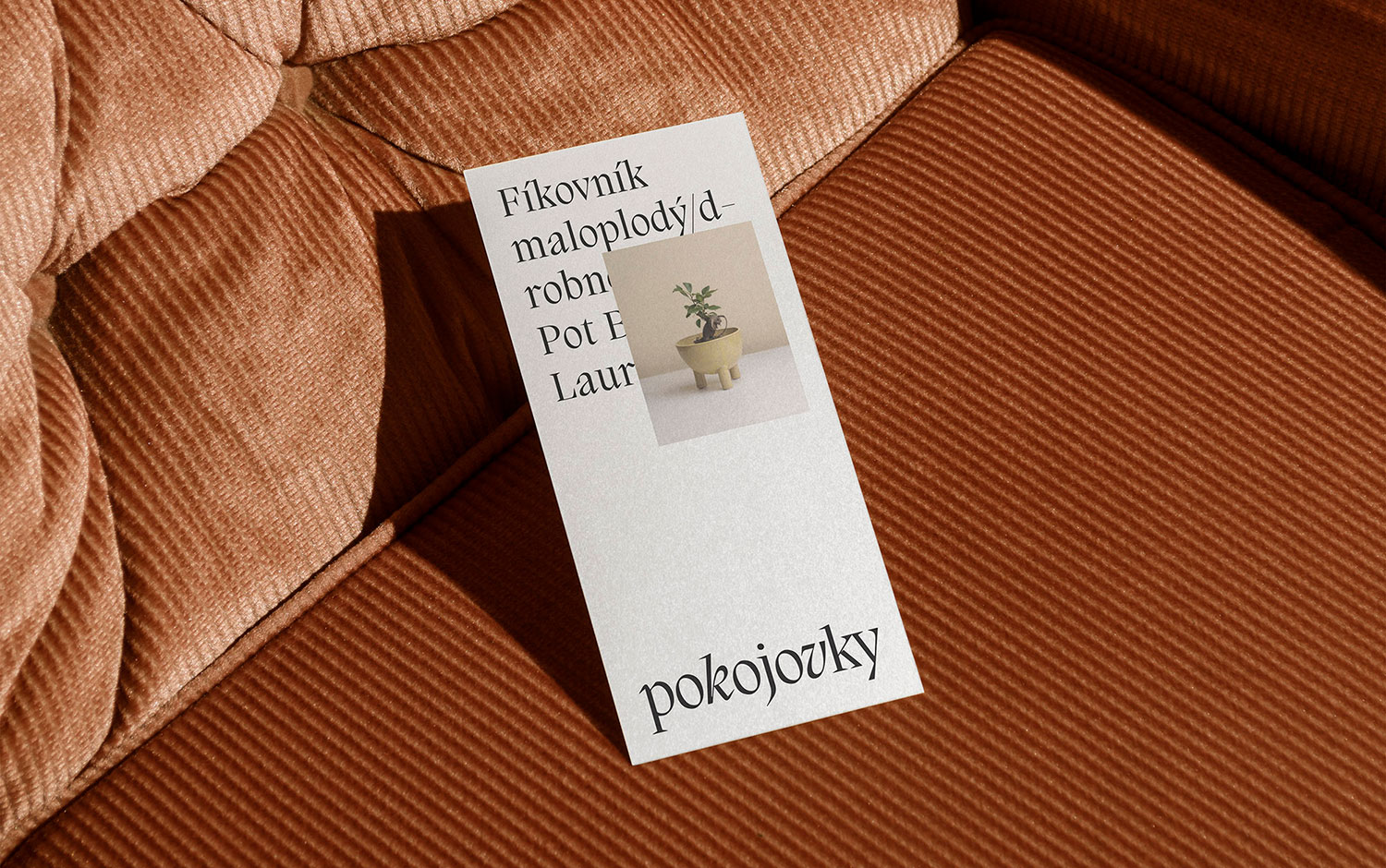 Pokojovky Brand Identity cover image