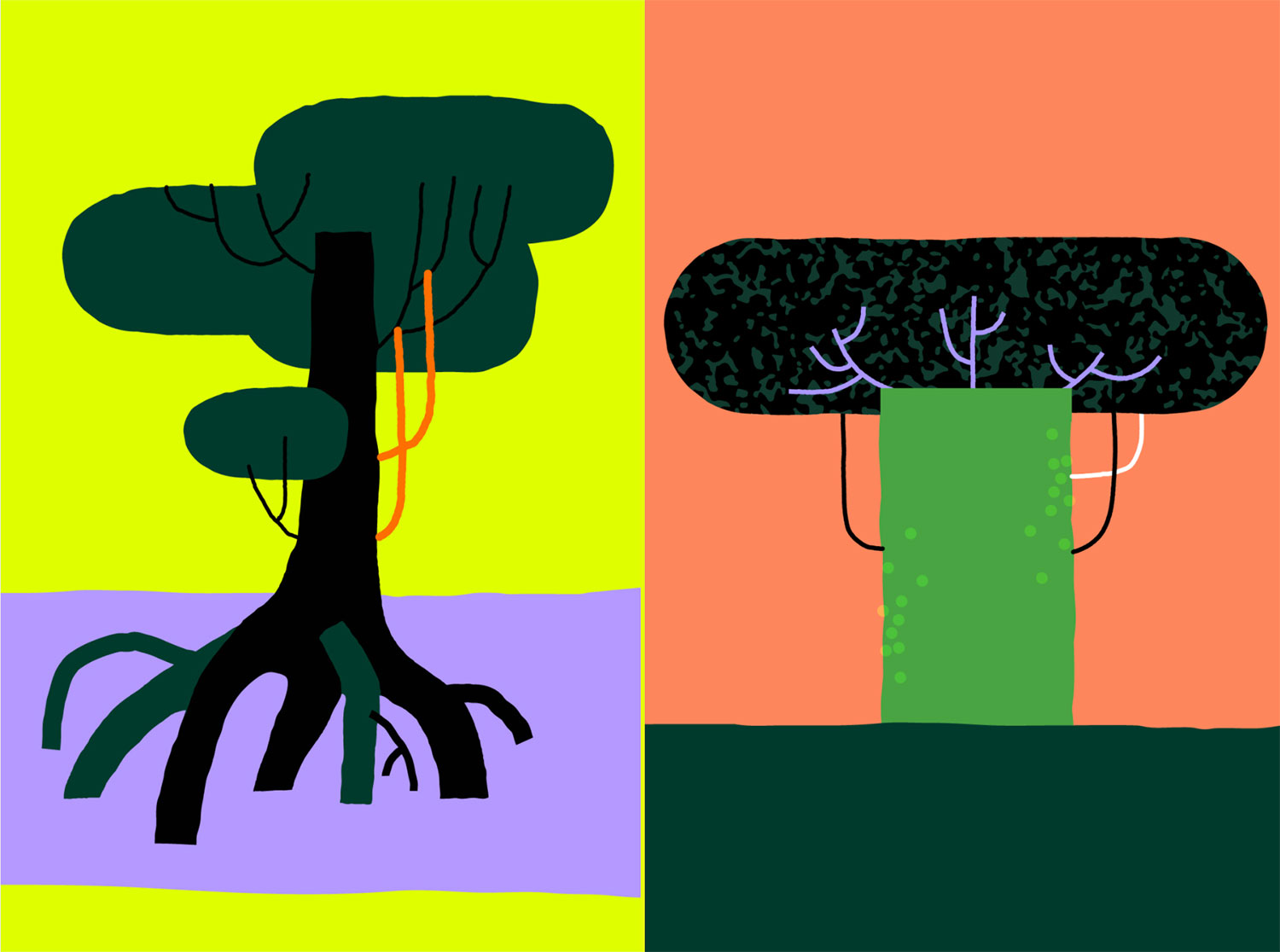 illo x Nature.org — Biodiversity cover image