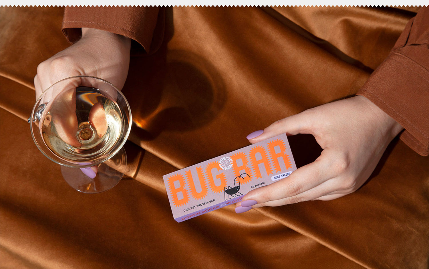 Bugbag cover image